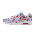 Nike Air Max 1 Paris City Collection