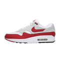 Nike Air Max 1 Anniversary Red (2017/2018 Restock Pair)