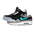 Jordan 3 Retro & Nike Air Max 1 atmos Pack