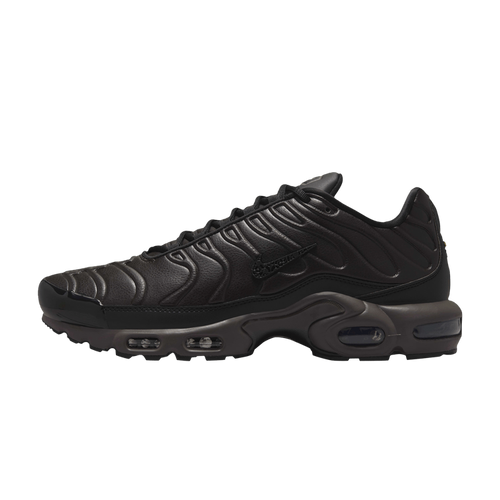 Nike Air Max Plus Premium Paris
