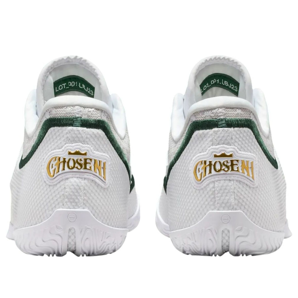 Nike LeBron 23 From This Point Forward