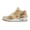 Jordan 3 Retro WNBA Desert Camo
