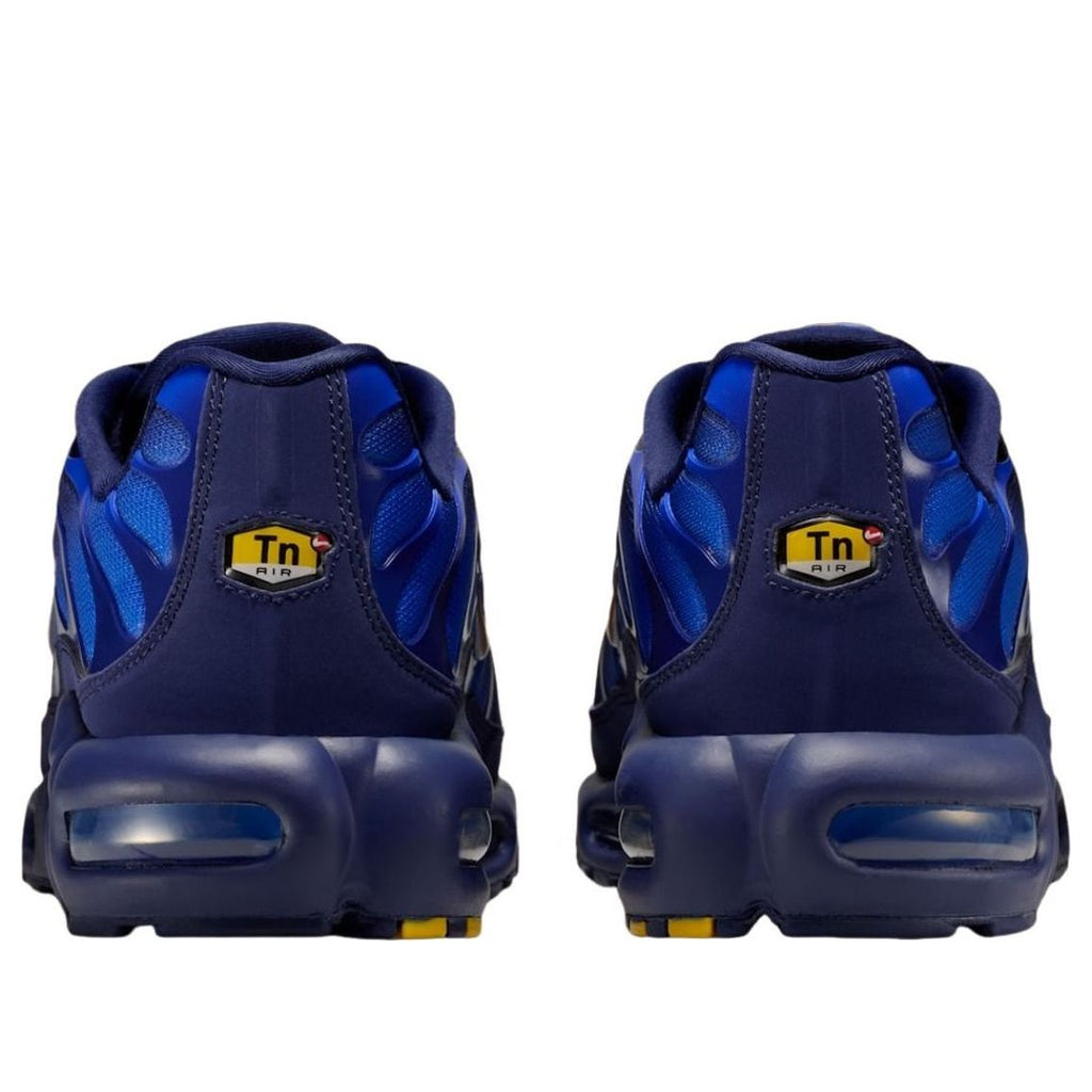 Nike Air Max Plus French Football Federation