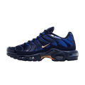 Nike Air Max Plus French Football Federation