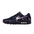 Nike Air Max 90 Premium 'Printed Canvas Blue'