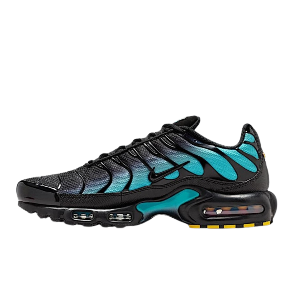 Nike Air Max Plus Black Dusty Cactus