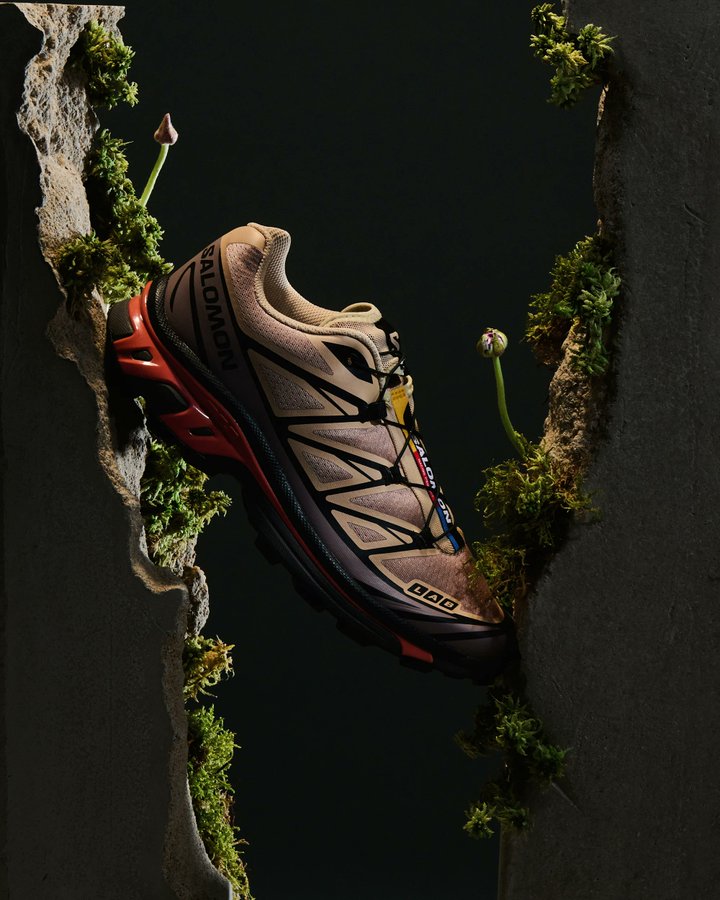 Salomon XT-6 Hazelnut Quail