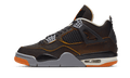 Air Jordan 4 SE Starfish