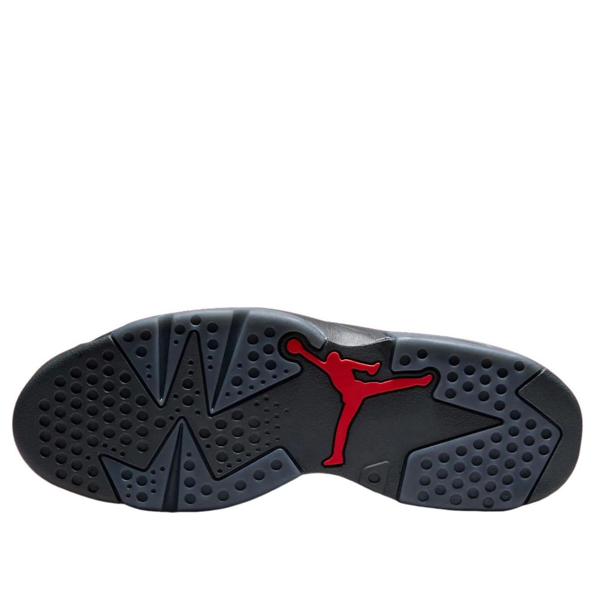 Jordan 6 Retro PRM Bin23