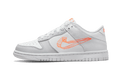 Nike Dunk Low 3D Swoosh White Grey