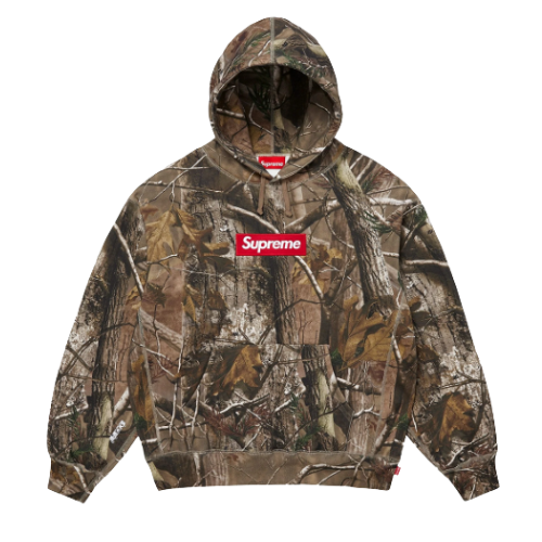 Supreme Box Logo Hooded Sweatshirt Realtree AP Camo